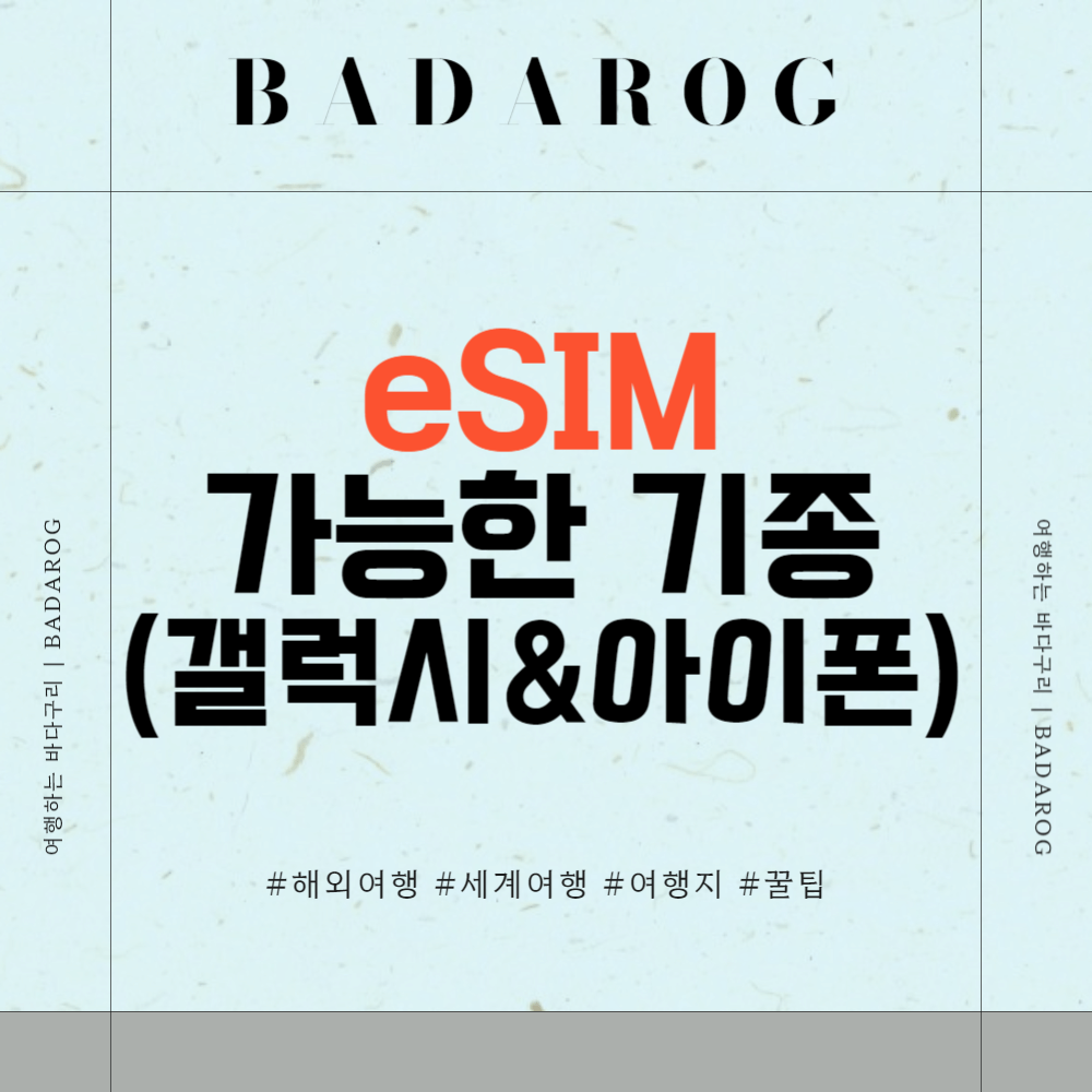 eSIM 가능한 기종 (갤럭시 & 아이폰)